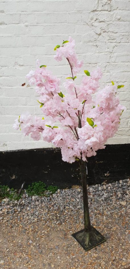 Pink Blossom Tree Hire Hertfordshire
